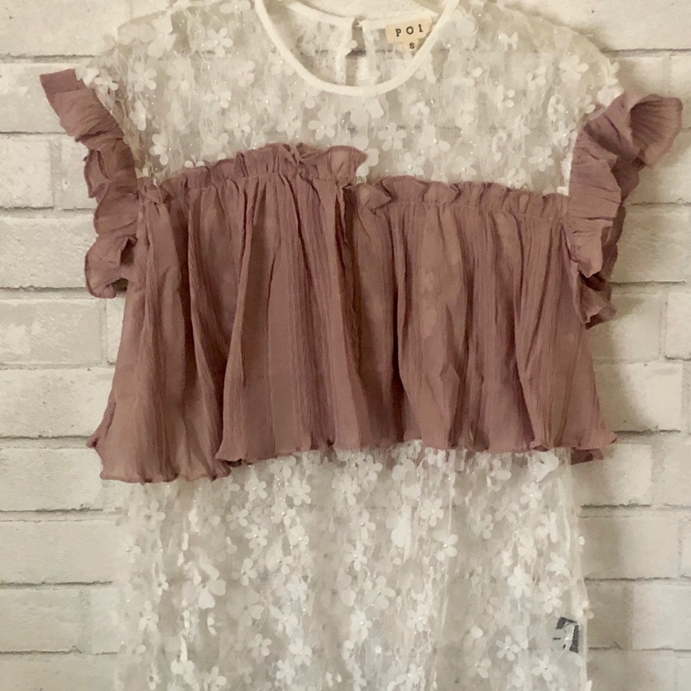 NIP POL Sheer Shimmer Lace BlouseTop With Contrast Ruffle Womens Size Large - Picture 2 of 5